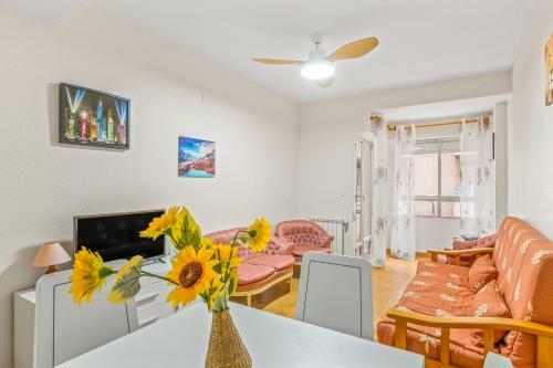 Apartamento Sunflower Gaviotas
