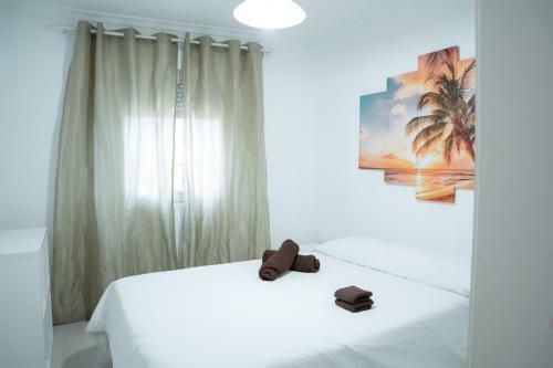 City Town Apartment