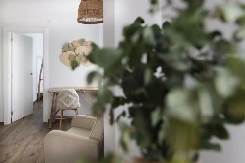 Le Petit Apartamentos