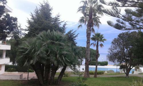 Apartamento Bonito Piso Con Vistas Al Mar.