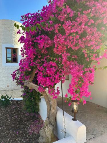 Villa Your Perfect Hideaway Only 5 Minutes From Ibiza