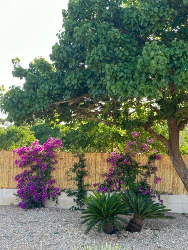 Villa Your Perfect Hideaway Only 5 Minutes From Ibiza