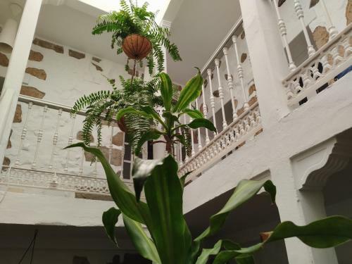 Holy House