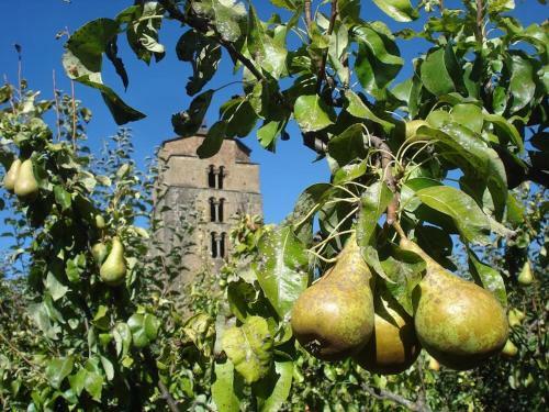 Casa Rural Barangua En El Pirineo Aragon�s