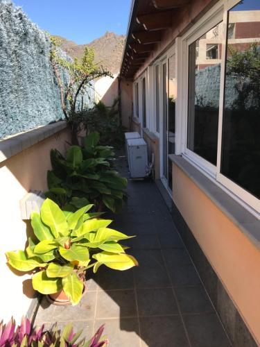 Apartamento �tico Espacioso Con Terraza Y Sal�n Exterior