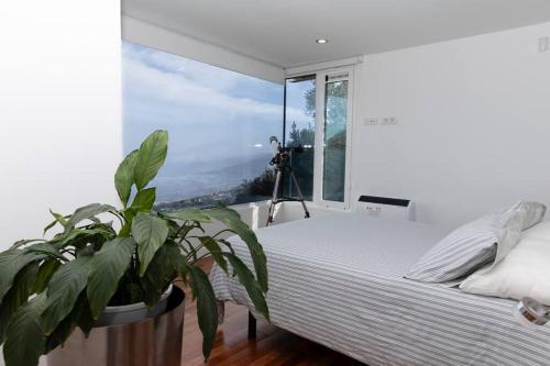 Vistas Del Valle; Piscina, Wifi Bbq...