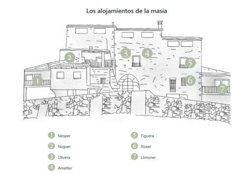Bed & Breakfast Masia Aubareda