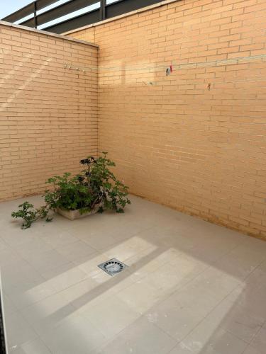 Apartamento Superb Duplex In San Javier