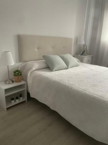 Apartamento Bajo Gu�a Deluxe