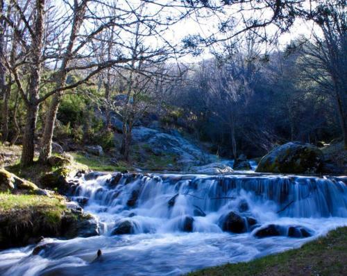 Apartamento En Chalet La Rana Real