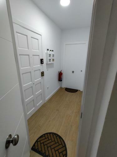 Apartamentos Larios Centro