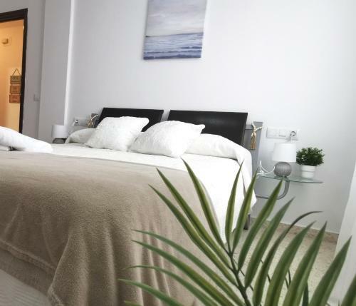 Apartamento Pirrado