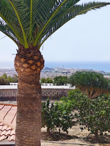 Apartamento Villa Montana Negra II
