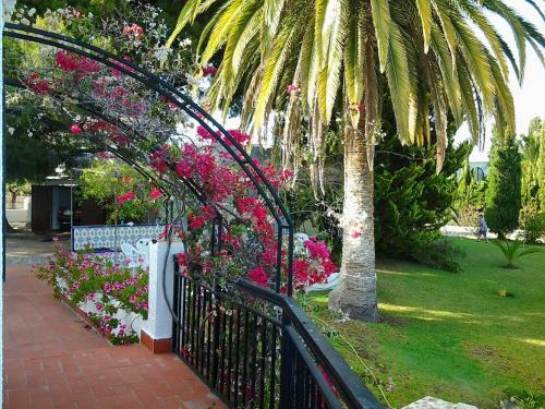 Villa House In Andalucia, Spain