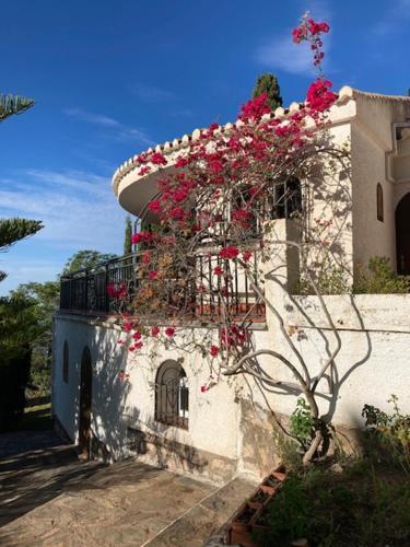 Villa House In Andalucia, Spain