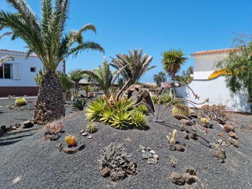Apartamento Casa Ina In El Roque, El Cotillo