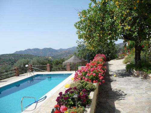 Villa La Molina Del Olivar - Peaceful Location