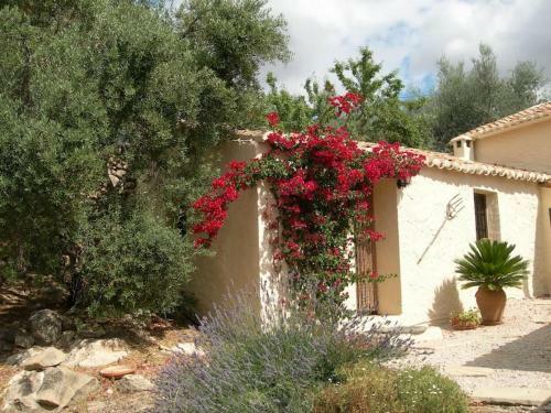 Villa La Molina Del Olivar - Peaceful Location