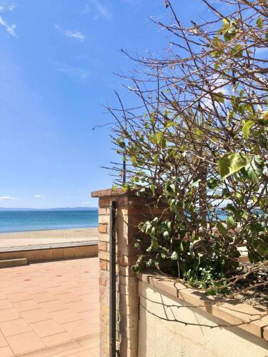 Apartamento Estudios Stella Maris
