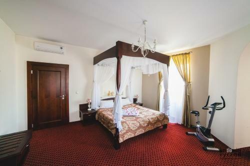Hotel Pa?ac Paw?owice