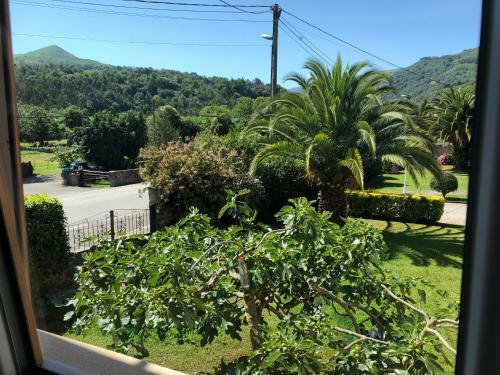 Apartamento Casa Particular En Renedo De Cabu�rniga