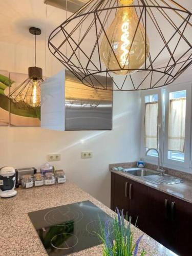 Apartamento Vista C�es