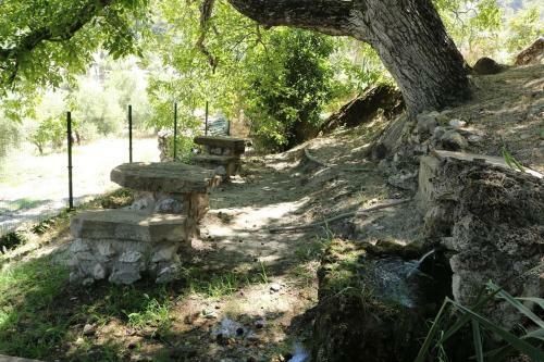 Apartamento Casas Rurales Cortijo El Marqu�s