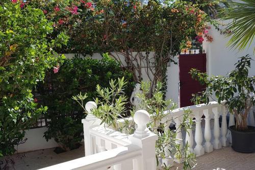 Apartamento Luminoso Con Patio Y Jard�n