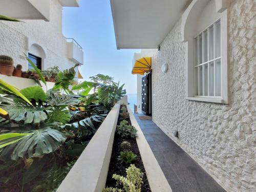 Apartamento Bellavista Mar