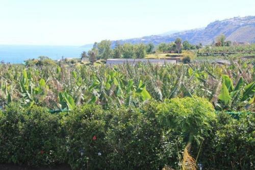 Finca Paraiso - Ganzj�hrig Geheizter Pool