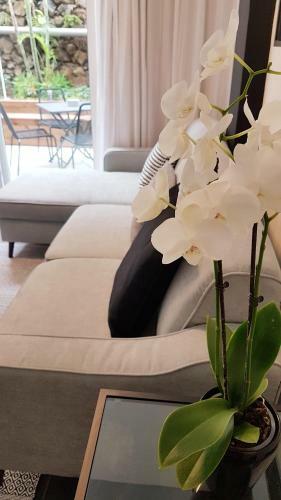 Apartamento N&c Suites Puerto De La Cruz