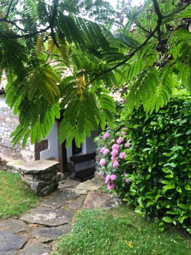 Hdec Hosteria De Casta�eda Alojamiento Turistico