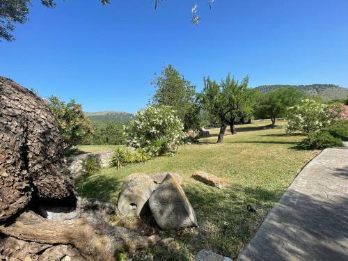 Villa Can Guillo Pollensa