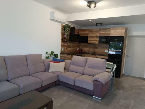 Suite Poblamar