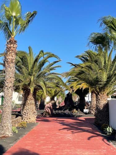 Apartamento Casa Marahoba - Relax At Pool And Beach