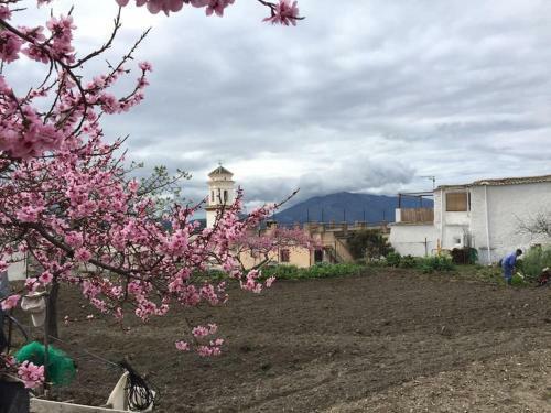 La Casa Rural De Paco Y Ana
