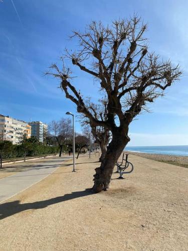 Apart. Pineda De Mar-sea And Mountains Views