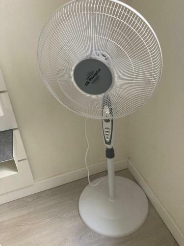 Apartamento Gascona 26 - Pleno Centro, Muy Tranquilo, Parking Gratis En Mismo Edificio, Ascensor, Wifi
