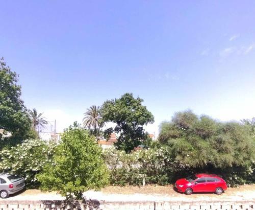 Apartamento En Duplex El Riuet