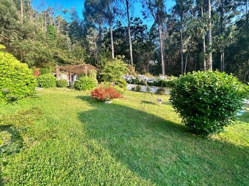 Finca Las Bimbas
