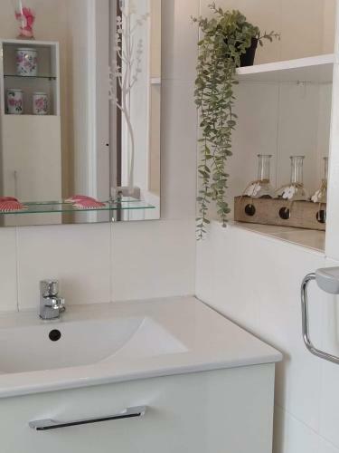 La Granda De La Concha