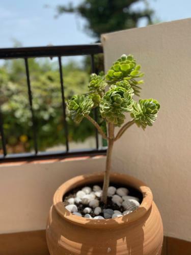 Apartamento Las Palmeras 3, Nerja