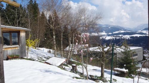 Apartamento Ferienwohnung Schlemmer