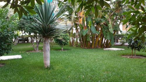 Apartamento Rincon Mediterraneo