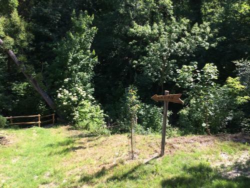Bed & Breakfast La Lacia