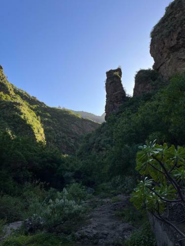 Apartamento Casa Rural Los Tilos Betancor