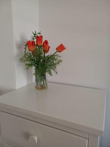 Apartamento Playa De Xilxes.