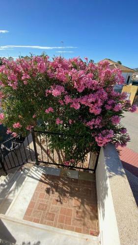 Apartamento Casa Limon