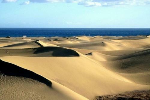 Apartamento Butterfly House Vibbecanarias Maspalomas