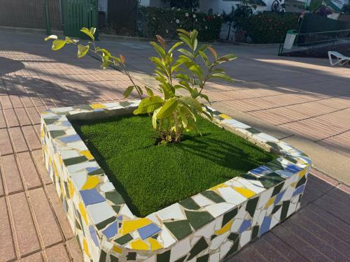 Apartamento Sweetie Victoria S Home